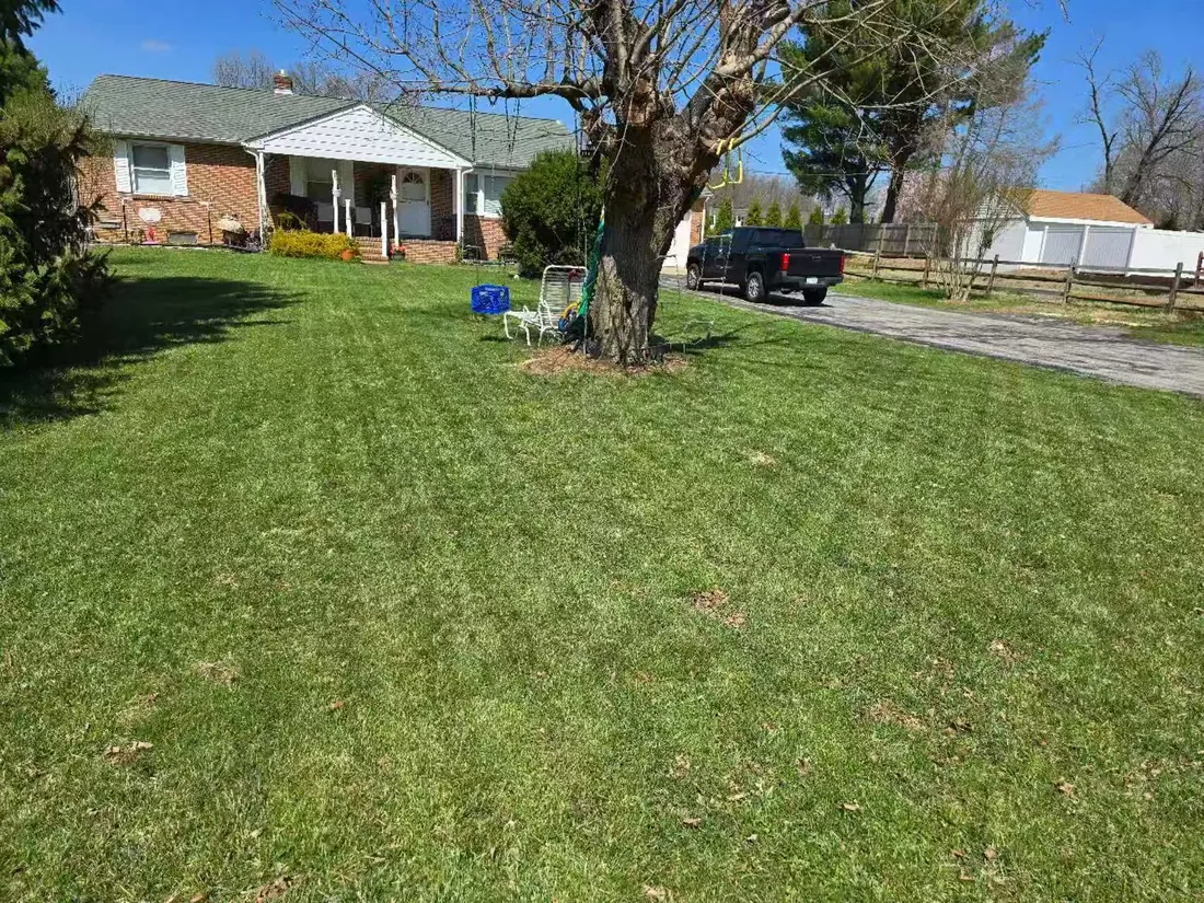 Reference backyard install with multi-zone mapping