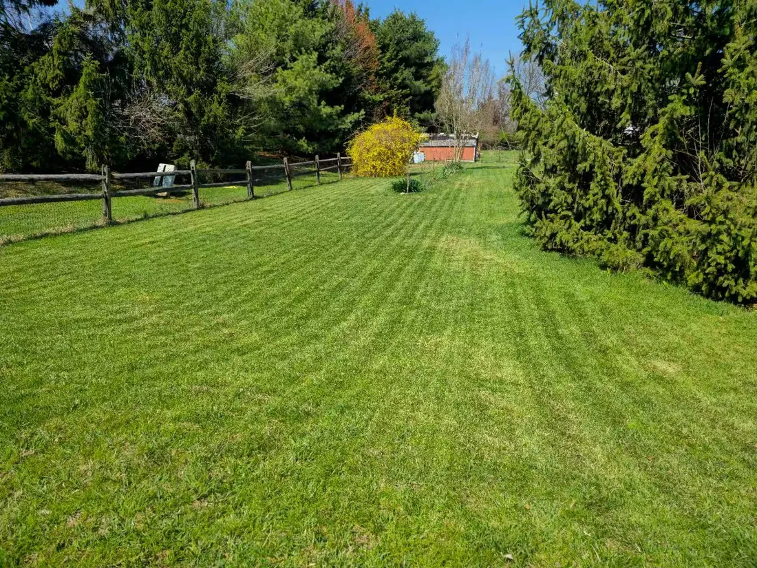 Reference side and rear yard install with no-go zones defined